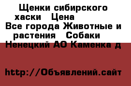 Щенки сибирского хаски › Цена ­ 12 000 - Все города Животные и растения » Собаки   . Ненецкий АО,Каменка д.